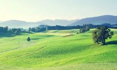 说说心情短语幸福