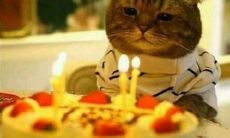 生日文案朋友圈搞笑