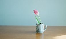 早安问候语的句子