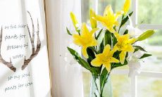 在考试中表现出色，成绩喜人的欢乐心情表达句子