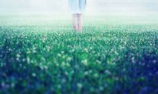 多次发送的天气预报短信，不断提醒着天气变幻莫测的真相