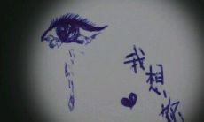 哪些句子能够表达我思念你的情感？