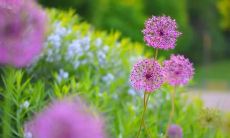 充满欢欣心情的回家分享——度过愉快时光，感受到满满的快乐之情