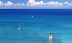 每周二向客户发送的定期问候短信计划