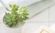 展现人类深刻情感羁绊的优美英文句子：珍爱亲情，共建美满家园