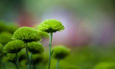 亲情的价值无法估量，堪称世界上最昂贵的珍宝！