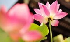 讽刺那些不愿珍惜友情的人，疏远好友却暗自为所欲为，损友益己的话语，揭示内心柔情的说说心情