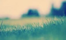 享受骑马带来的快乐——唯美描述骑马的句子