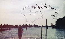 「我真的感到非常失望，对我的男友感到深深的失望和不满」