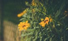 探究亲情在人生中的意义：展现心情的哲思句子