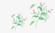 用短语和句子表达思念亲情的心情：表达对亲人的思念之情的句子和短语