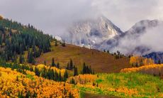 表达对家人的思念之情，赞叹亲情之美的感人句子和心情短语