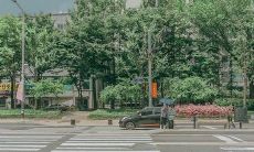 经历分手后遭遇爱人死亡，内心遭受痛苦的句子集锦