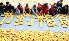 节约粮食的名言与警句，强调食物浪费的严重性与个人责任感