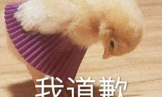 如何表达道歉并用幽默的方式化解尴尬？亲和好说话的技巧大揭秘！