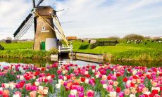 令人心驰神往、充满满足感、无比愉悦的幼童欢乐时刻