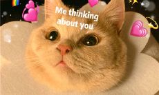 够逗足笑的文案提供一箩筐欢乐信息