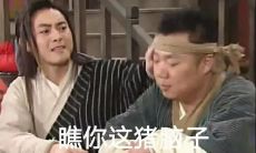 从经典短句到损人搞笑句子：探索幽默的各种形式与表达方式