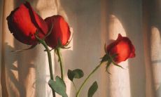 极富爆红潜力的抖音内配文字作品，必将成为热门话题！