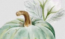 一组表达真挚友情、温暖人心的感人句子和诗句