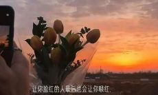 分享朋友圈时使用的优美、成熟和经典的伤感句子