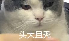 如何创造一篇即可爱又沙雕的文案，让你感到欢乐和愉悦？