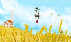 芒种季节到来，朋友圈文案的创意流出来了！