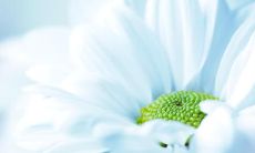 2022最新超炫酷给力的霸气说说，让你的社交圈高人一等！