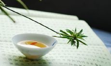在炎热的夏天喝茶——一位朋友圈用户的分享和感悟