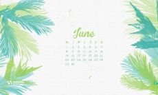 六月备受赞誉的朋友圈动态-分享、点赞与社交媒体的互动效应