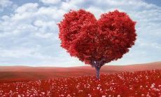 如何用句子表达深深的爱意？-一份专为知心爱人准备的爱意盎然的文集