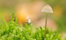 如何在小暑这个节气中充分利用朋友圈分享和交流？