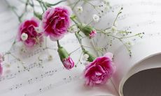 经典暖心母亲节短信：快乐祝福满满，送给我最爱的人——妈妈！