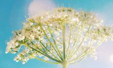 已有一段时间没有用适当的问候语给领导发送短信了