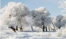 一些描述冬季雪景的优美句子，让你感受到纯净、寂静与美丽