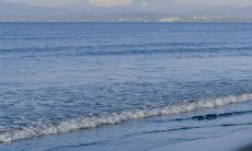 疼痛深刻，心灵摧残 - 带有强烈情感的痛苦句子