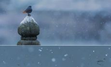 一系列适用于冬季的文案句子，使您的营销成为冬季的亮点！