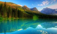 一组能让朋友开怀大笑、感受真诚友情的欢乐友谊句子