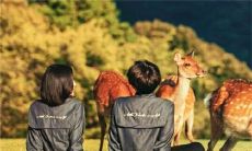 短暂的生命里能打动人心、伴随终身的情话