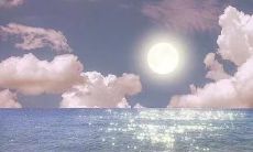 抖音上热门的生活感悟短语集锦：让你感动、激励、思考的经典句子！