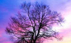 第八期：阐释人生的启示性名言，带给我们深刻的领悟和思考