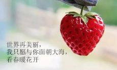 冬季之约：暖暖的呢喃，掏心掏肺的告白情话