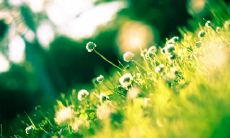 如何化解朋友间因争执而产生的冷漠和不和？