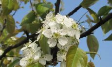 三月的励志句子，为你打气、提神、迎接新的开始