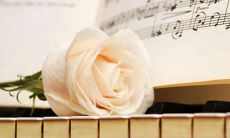 32句流露加班心情的说说集锦：感慨疲惫与劳累的较量，思考工作与生活的平衡，描绘久坐办公桌的孤寂与无奈，共享加班常态下的压力与挑战，以及对于长期操劳的感性理解与珍惜心境