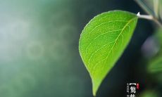 今日惊蛰：朋友圈上频频出现关于惊蛰的说说，让人感叹天气越来越微妙！