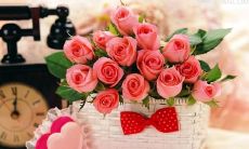 如何用简短的句子在情人节向女友表达爱意？