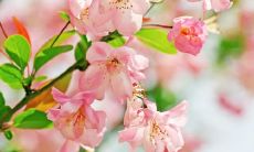 在发送短信时，如何用最佳方式问候他人？