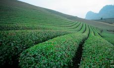 用于鼓励自我提高的科比布莱恩特名言汇总