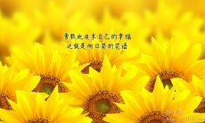 激励心灵的励志名言短语，唤醒你内心的深层力量和追求，寻求更好自己的成长与提升